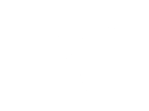 BMC Cues